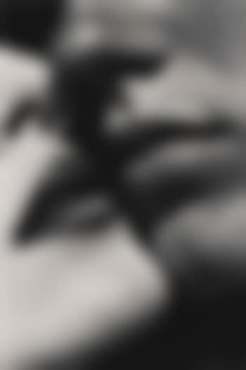 Kiss from Bordighera Details (preview)