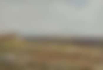 Sheep grazing by the homestead (preview)