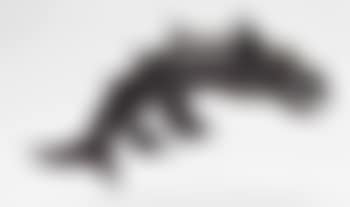 Model of a dragon fish (preview)