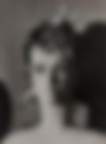 Résurrection des mannequins (preview)