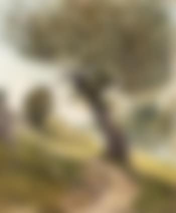 A winding river path (preview)