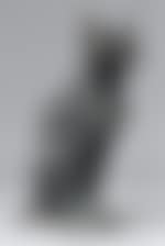 Sitting cat (preview)