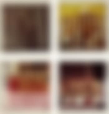 Bamboo; Lily Pads; Coke Bottle Still Life; and Tea Pots, from Studies for Chinese Summerhall (large) (preview)