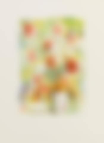 Flower-piece B, Crayon Study (Tyler 221:Rh 3) (preview)
