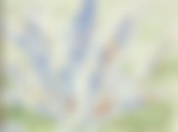 Agave (preview)