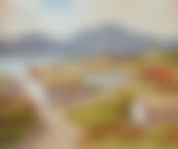 Connemara Homes (preview)