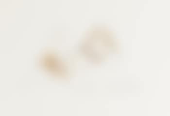 Cunnilingus (preview)