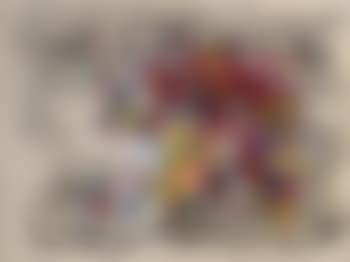 Mujer Ornamentada (preview)