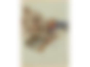 The British soldier scouting (preview)