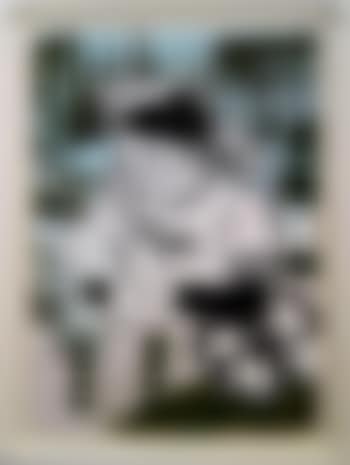 Bunny Boy Archive Blue/Green (preview)