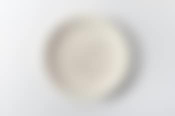 Colombe de la paix (preview)