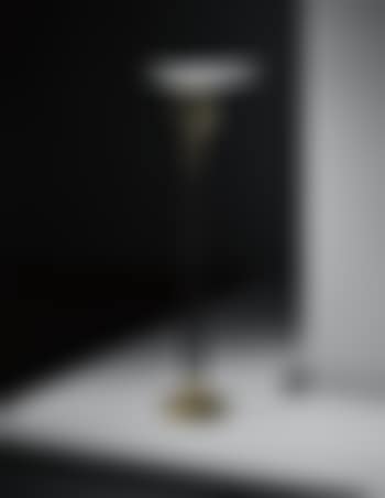 Rare standard lamp (preview)