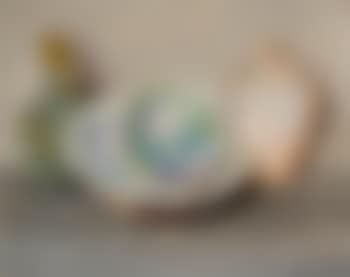 Untitled (Shell Still Life) (preview)