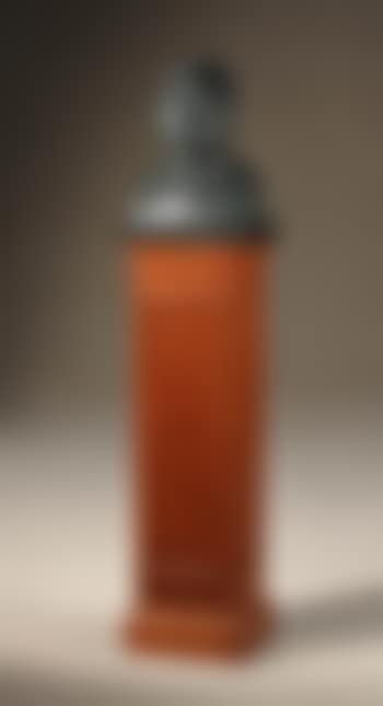 Bust of Dr. Martin Luther King, Jr. (preview)