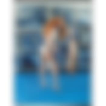 Devon Aoki: Fish Stick (preview)