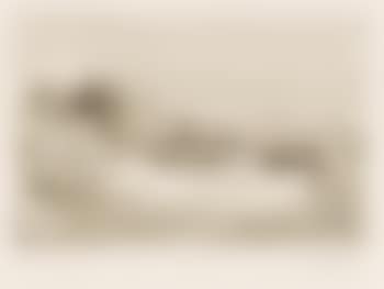 Elin (preview)