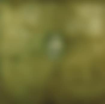 A still life n°3 (preview)