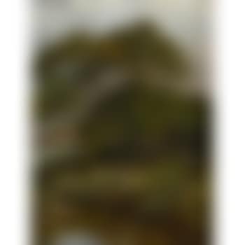Banks of the River Stour (preview)