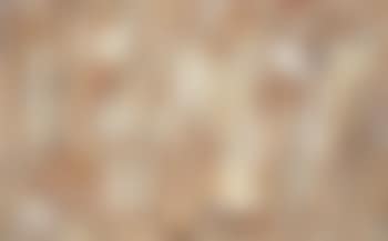 La terre (preview)