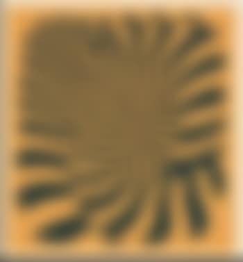 Zebra couple orange (preview)