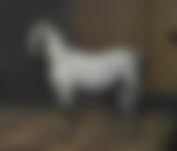 Lipizzanerhengst (preview)