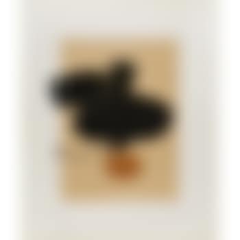 Two Images (preview)