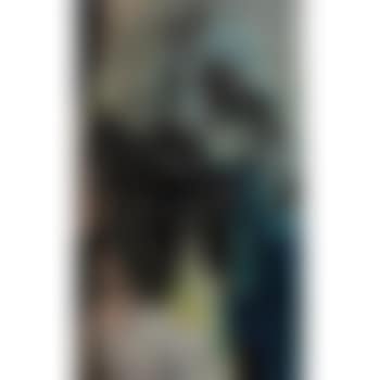 An Elizabethan (preview)