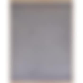 Jasper Johns Shade, 1959, 1967 (preview)