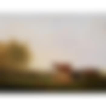 Cows watering in a pasture (preview)