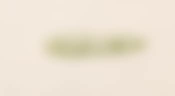 Green trees (preview)
