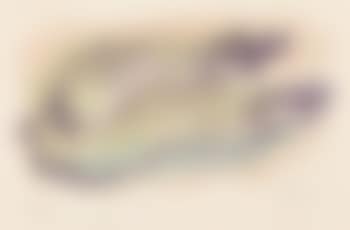 Vegetaux (preview)