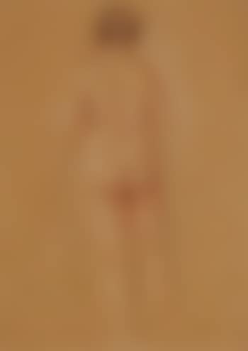 Femme nue de dos (preview)
