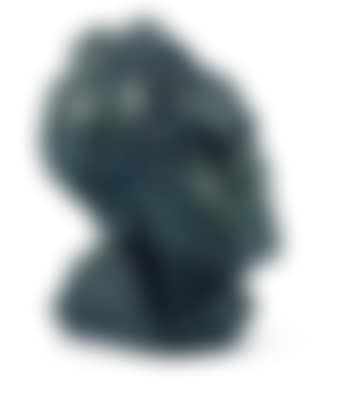 Autoportrait (preview)