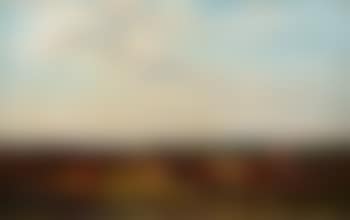 Troupeau de vaches (preview)