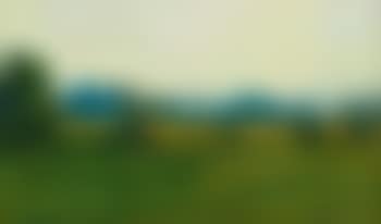 Landscape (preview)
