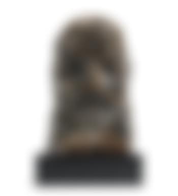 Study for 'Head of Moses' (preview)