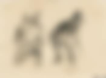 Two Persons (preview)