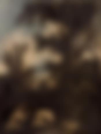 Paesaggio con monaci camaldolesi penitenti (preview)