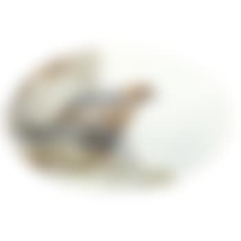 Golden Eagle (preview)