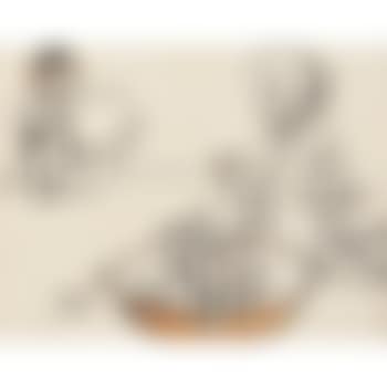 The Order of the Bath (preview)