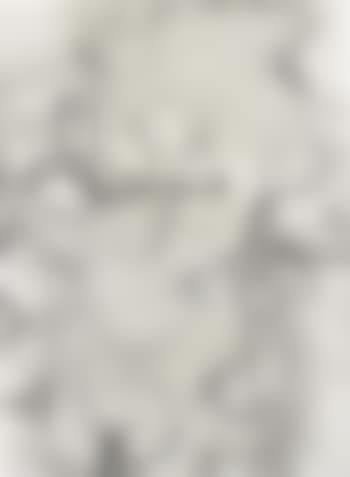 Untitled (S176) (preview)