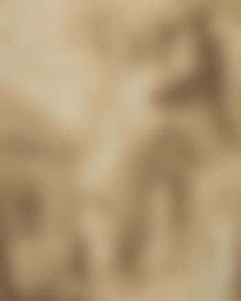 L'Éléphant du Moulin Rouge (preview)