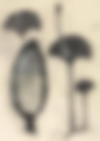 Untitled (preview)