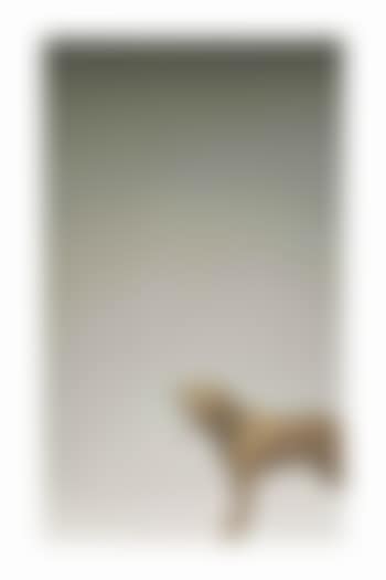 Cane che sbadiglia (preview)