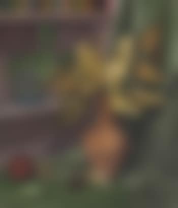 Survivals (preview)