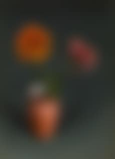 O.T. (preview)
