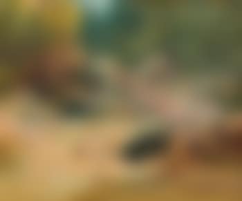Paesaggio con ponte (preview)