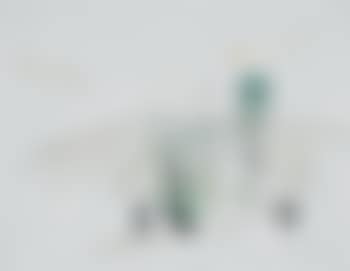 Willows (preview)