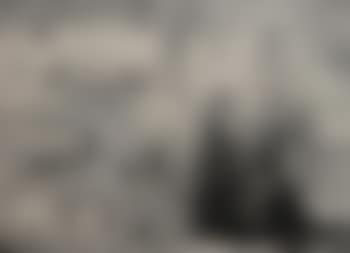 Foggy Morning (preview)