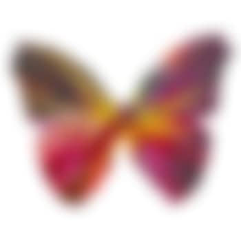 Butterfly Spin Painting (Created at Damien Hirst  Spin Workshop) (preview)